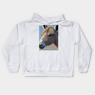 Donkey Kids Hoodie